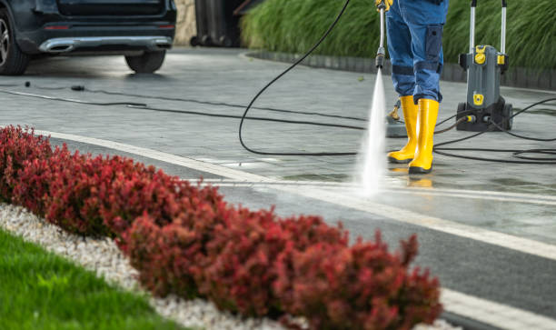 Best Roof Pressure Washing  in Gig Harbor, WA